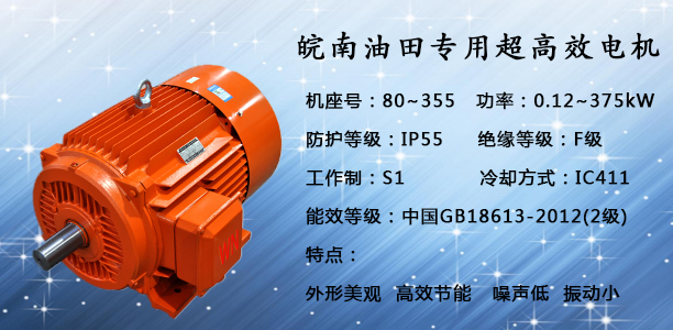 油田電機(jī)|抽油機(jī)電機(jī) 油田電機(jī)|抽油機(jī)電機(jī)